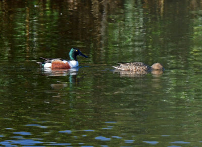D85_7888.jpg