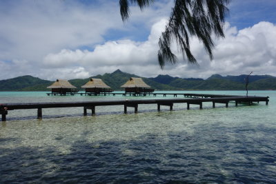 DSC01775.JPG