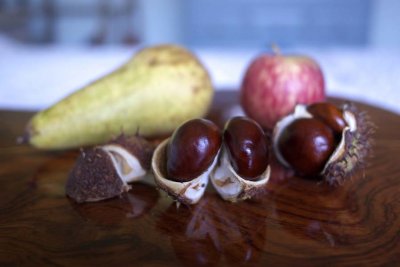 Still life with conkers