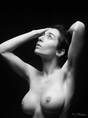 _2210366 (p).jpg