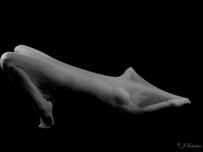 _2210183(pequea).jpg