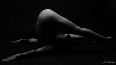 _7100423p.jpg