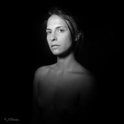 _C181143p.jpg