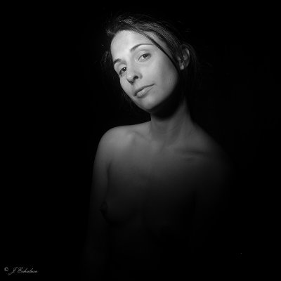 _C181145p.jpg