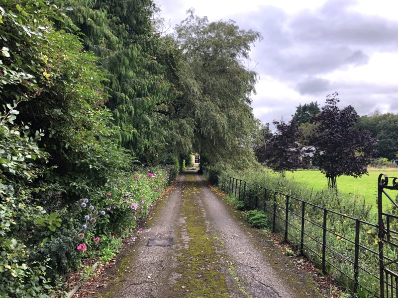 pathway
