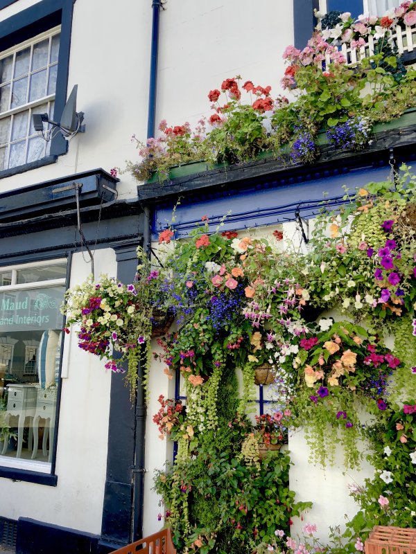 street flowers