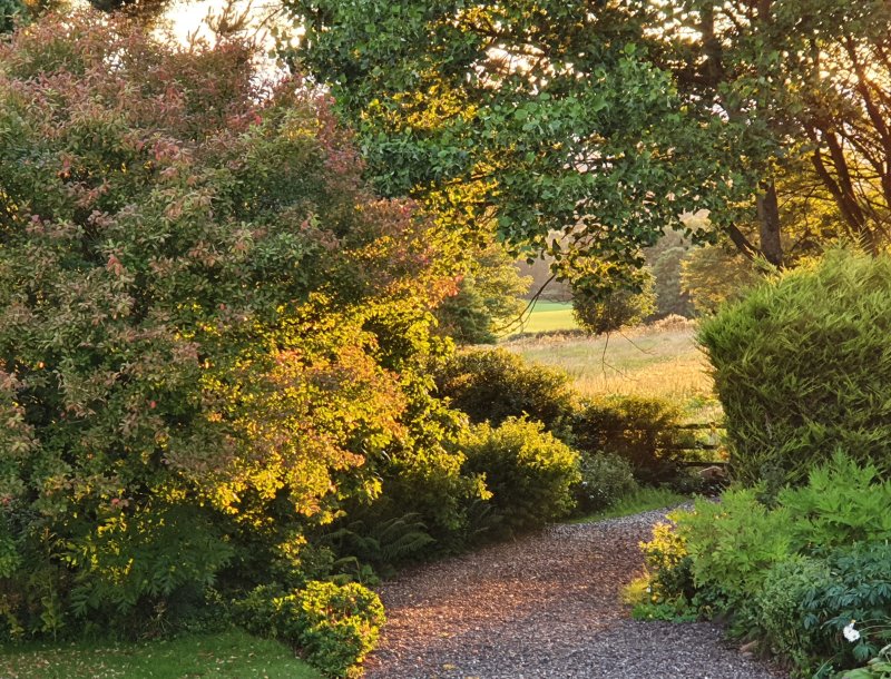 stirling_area_august_2020