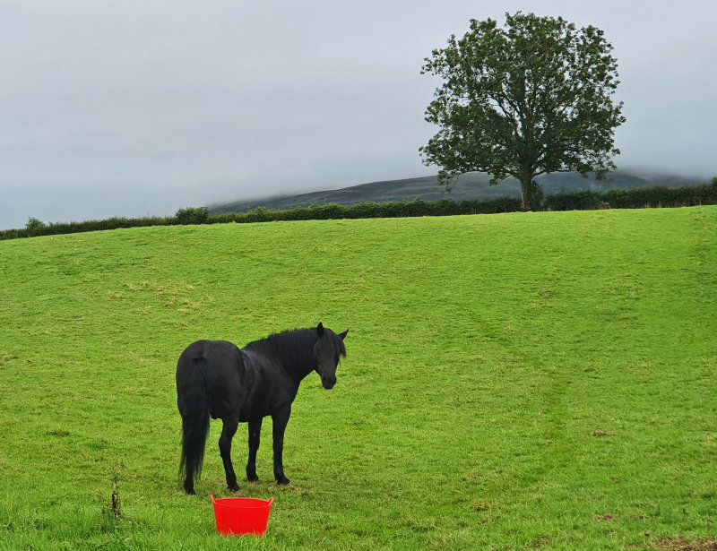 around_dufton_aug_2020