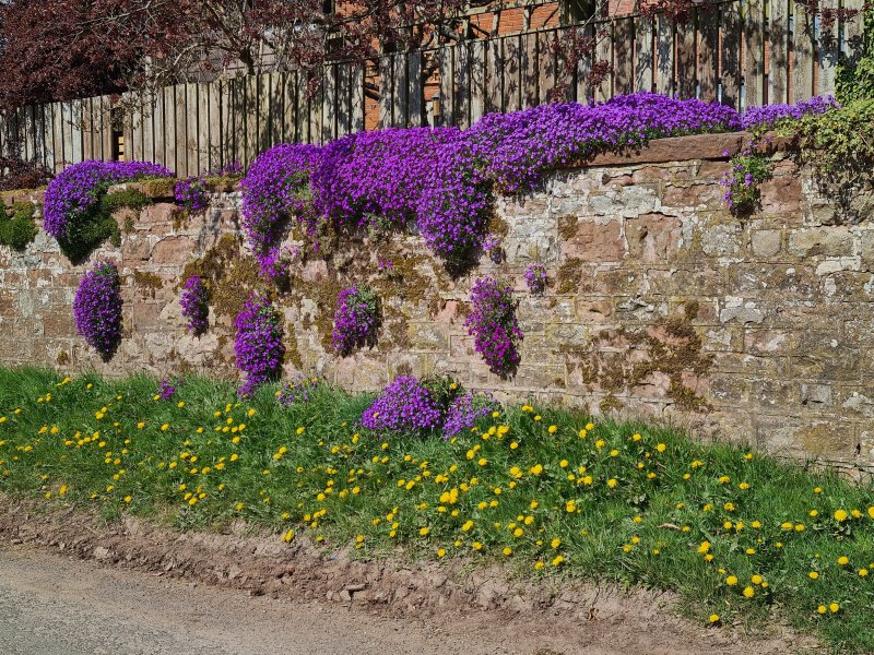 around_dufton_april_2021