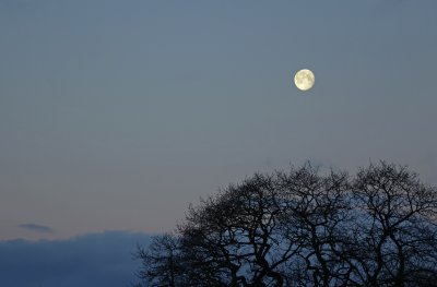 g12/35/663235/3/168798630.RHZrFlvh.jpg