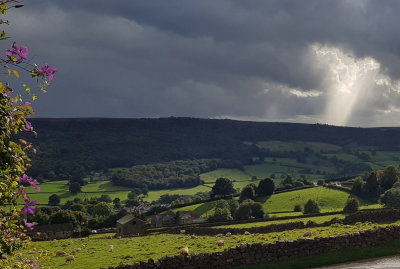 Nidderdale