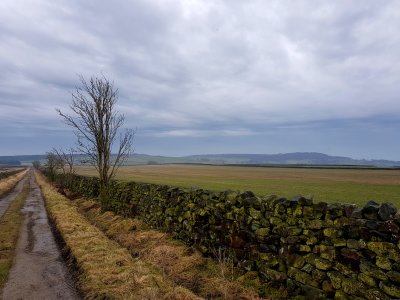 g12/35/663235/3/169464689.nuxasZc1.jpg