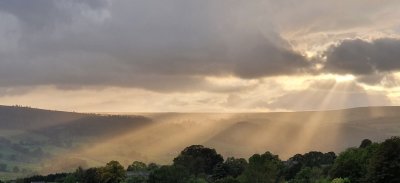 g12/35/663235/3/171763690.9kzqq6ta.jpg
