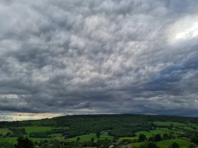 g12/35/663235/3/172362012.uodknH7V.jpg
