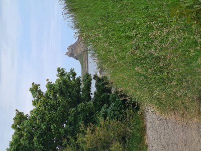 g12/35/663235/3/172440258.Cg6kHqKG.jpg