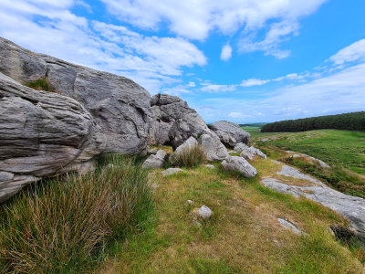 g12/35/663235/3/172440281.TlCKYfyN.jpg