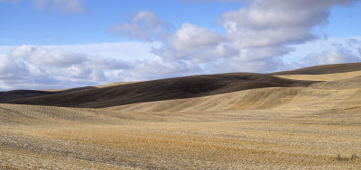 Return to the Palouse