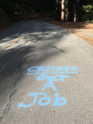 Cyclists get a job