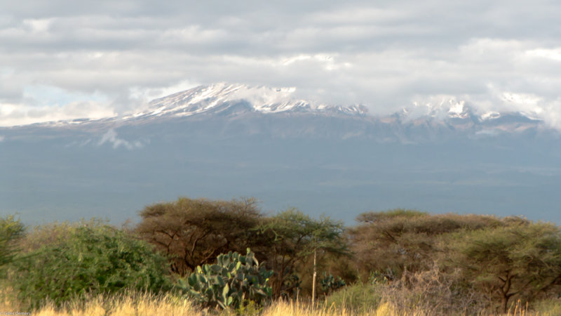 Le Kilimanjaro vu du Kenya