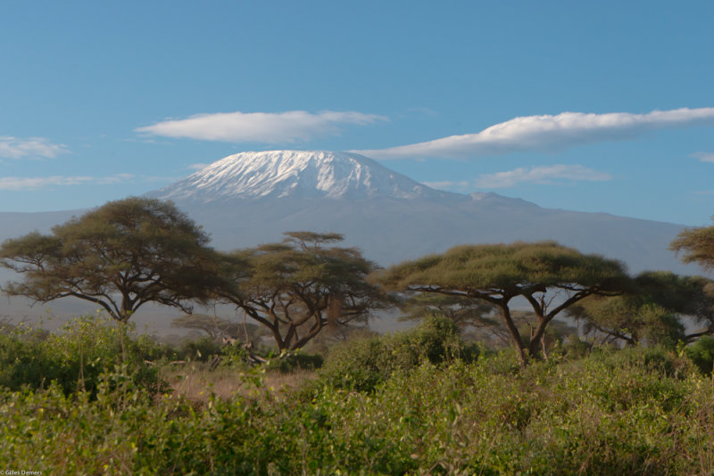 Le Kilimanjaro vu du Kenya