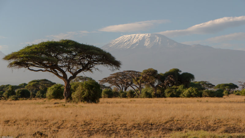 Le Kilimanjaro vu du Kenya