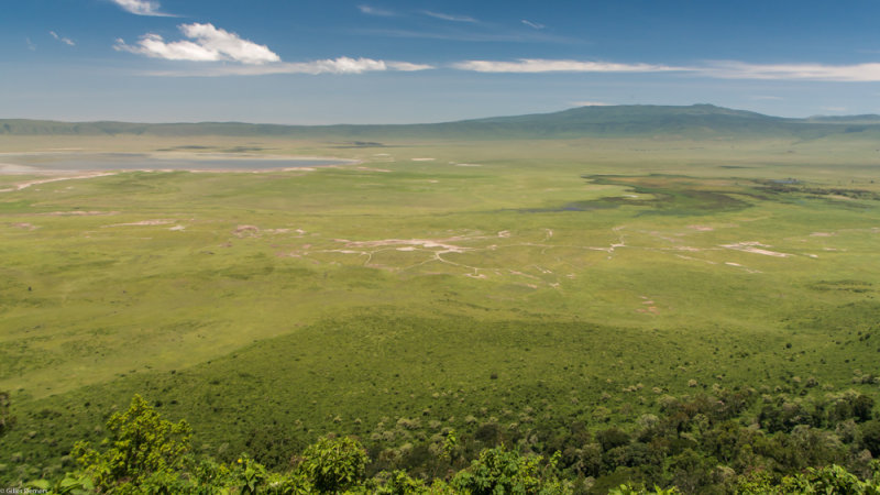 Cratre du Ngorongoro