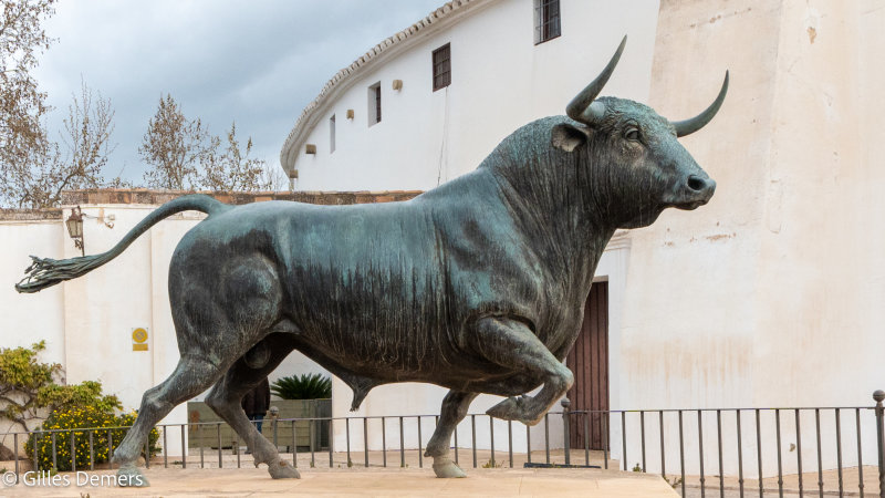 Arnes de Ronda / Plaza de Toros