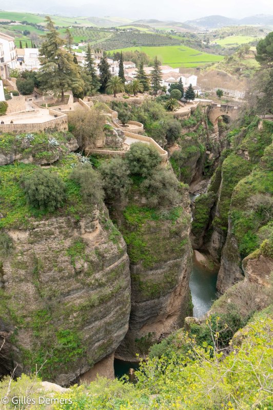 Ronda