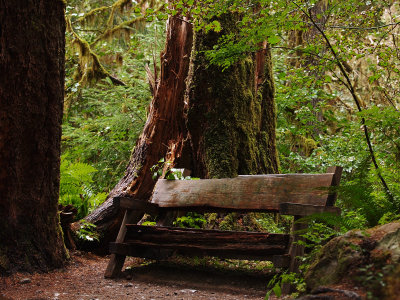 Olympic National Park