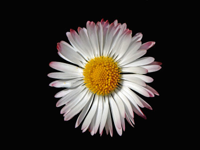 g12/35/754235/3/171467920.2DSwOjKN.jpg