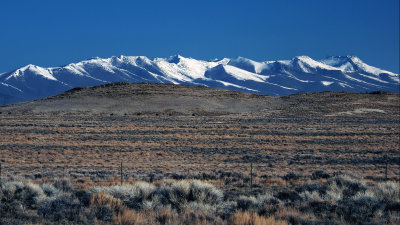 Shoshone Mountains