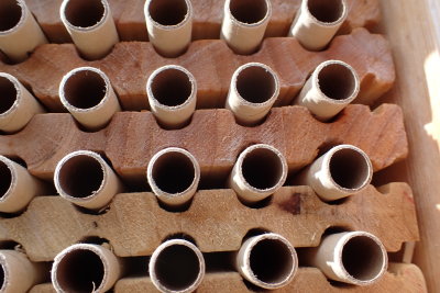 The Bee Tubes