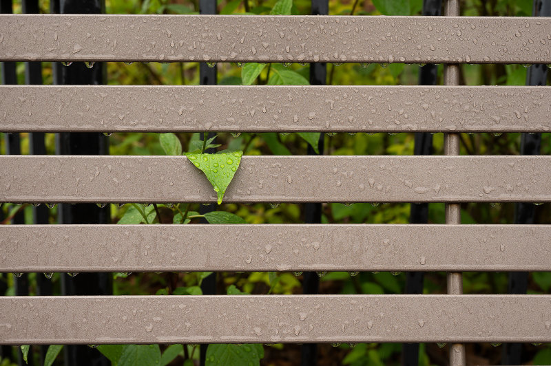 _Z620573.jpg