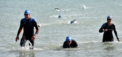 Flannagan cup 06022020169.jpg