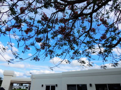 g12/35/858835/3/170717384.xWjXVzgy.jpg