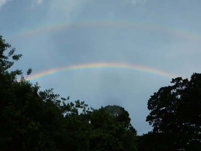 Double-Rainbow
