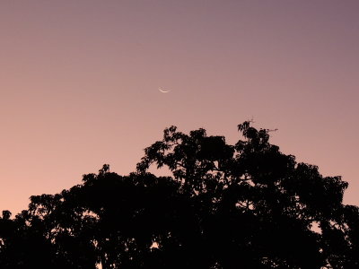 2020-08-17 Waning Moon at sunrise