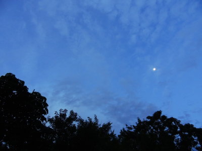 2020-09-06 Moon at Twilight