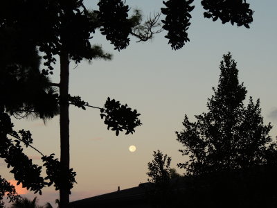 2020-11-01 Moon/Sunrise sky