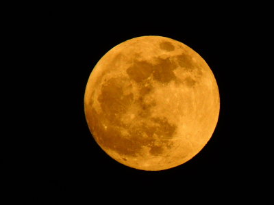 2020-11-29 Night Before 