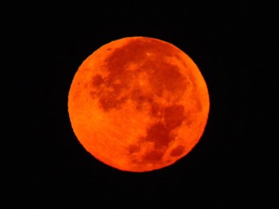 2020-11-30 Beautiful Red Moon 6.59AM