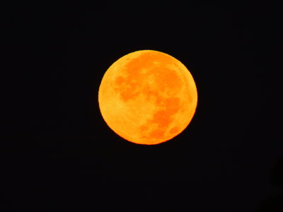 2020-11-30 Beautiful Color