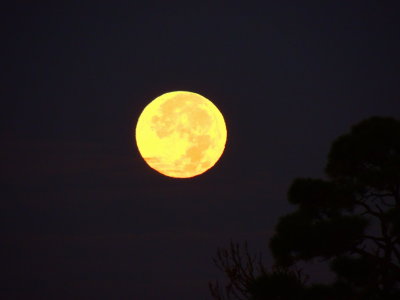 2020-11-30 Beautiful Color