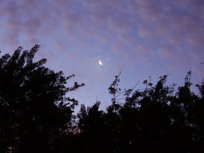 2021-02-07 Moon/Sunrise sky