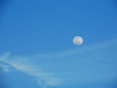 2021-04-24 Moonrise/Beautiful Cloud