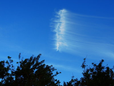 2021-04-24 Beautiful Cloud