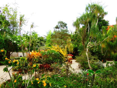 Mounts Botanical Garden