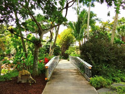 Mounts Botanical Garden