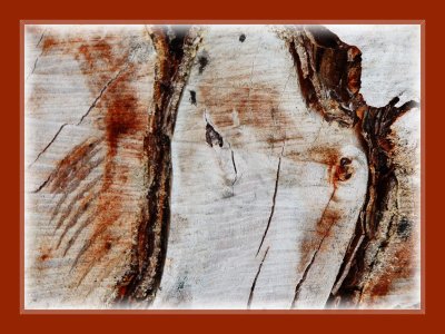 Tree stump/Horse's head pattern