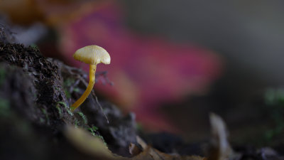 20221012_4809b.jpg